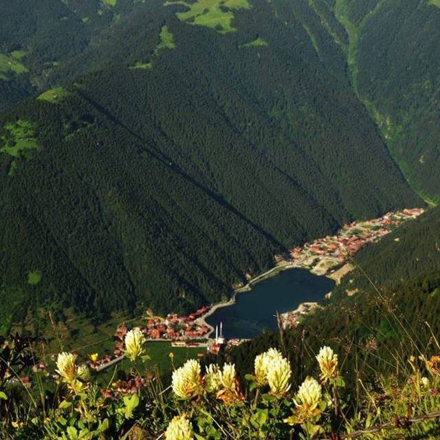 تأجير سيارات في طرابزون , استئجار سيارة طرابزون , تأجير سيارات في طرابزون , ايجار سيارات طرابزون , أفضل شركات تأجير السيارات في طرابزون , ايجار سيارات في طرابزون , ايجار سيارة طرابزون , سيارة مع سائق في طرابزون , تأجير السيارات في طرابزون , تاجير السيارات في طرابزون , استئجار سيارات طرابزون , تأجير السيارات العائلية في طرابزون