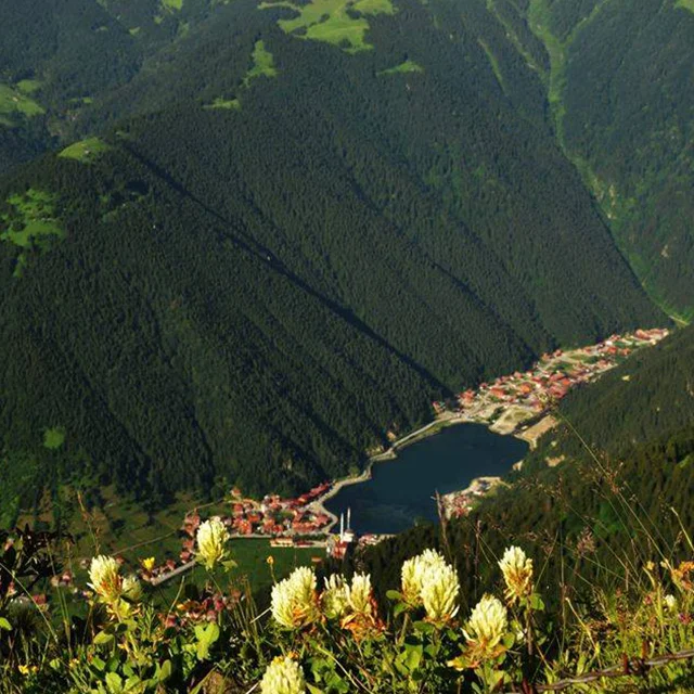 تأجير سيارات في طرابزون , استئجار سيارة طرابزون , تأجير سيارات في طرابزون , ايجار سيارات طرابزون , أفضل شركات تأجير السيارات في طرابزون , ايجار سيارات في طرابزون , ايجار سيارة طرابزون , سيارة مع سائق في طرابزون , تأجير السيارات في طرابزون , تاجير السيارات في طرابزون , استئجار سيارات طرابزون , تأجير السيارات العائلية في طرابزون