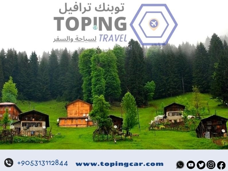 مطار ريزا