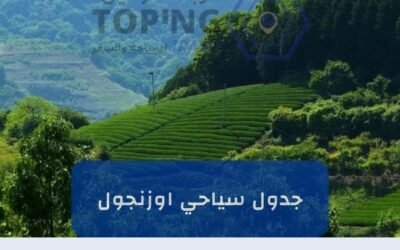 جدول سياحي اوزنجول في الشمال التركي 2025