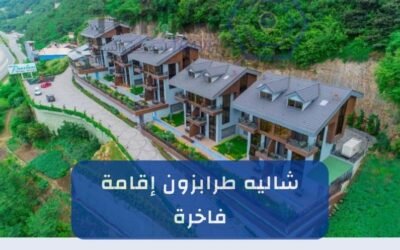 شاليه طرابزون: احجز الآن لتجربة أفضل خدمة تأجير شاليهات في الشمال التركي لعام 2025