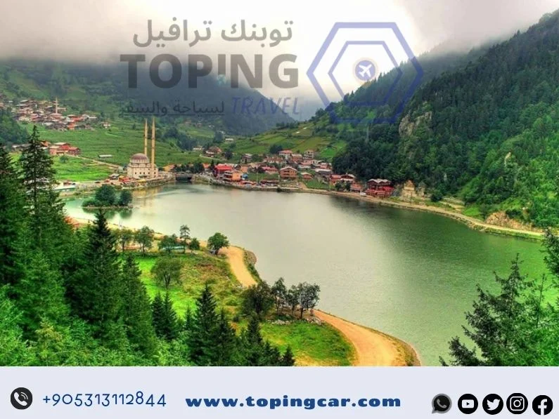 السكن في طرابزون