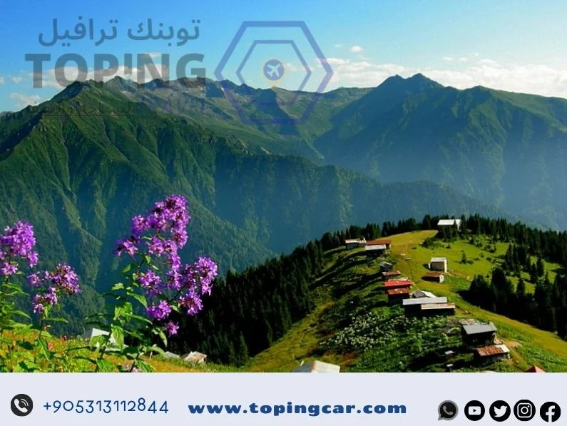 هضبة آيدر 