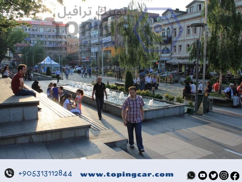 فعاليات طرابزون