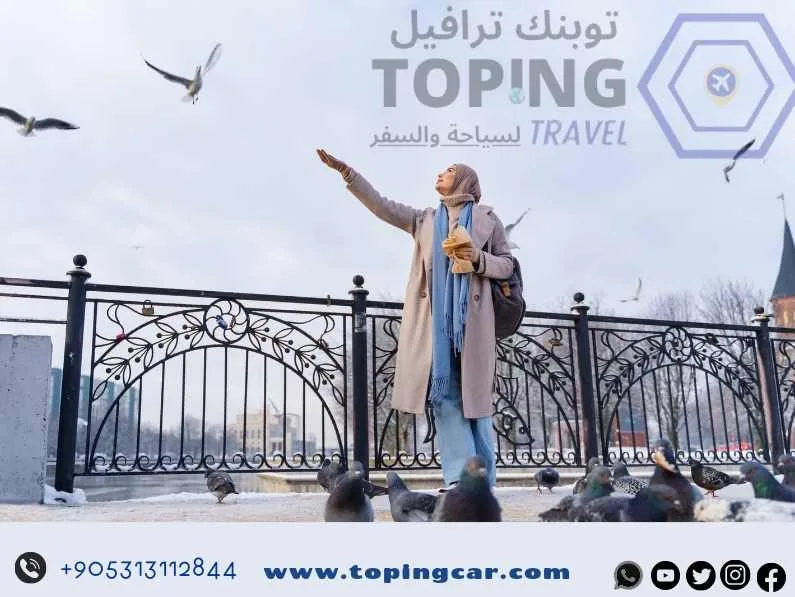 برنامج سياحي لاسطنبول