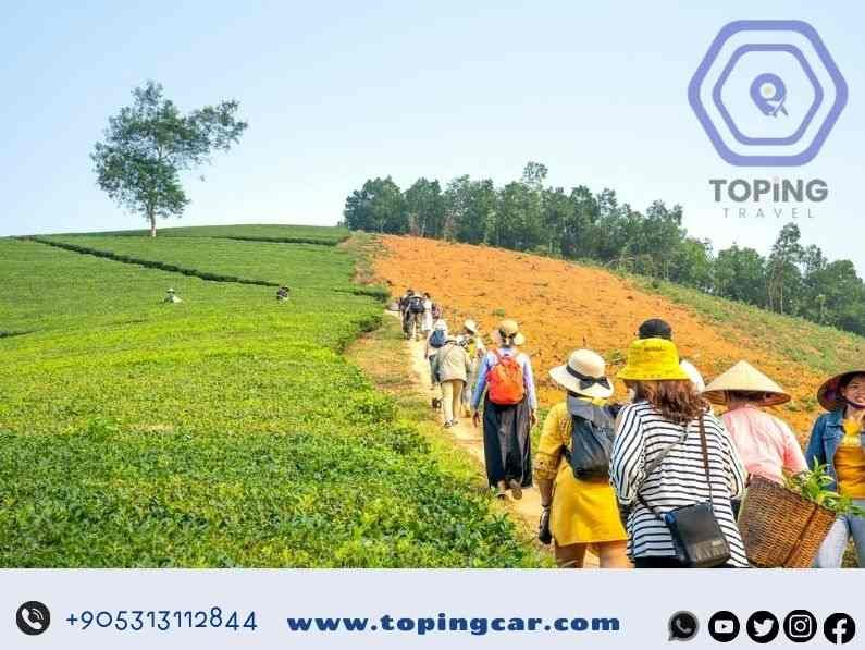 مزارع الشاي ريزا