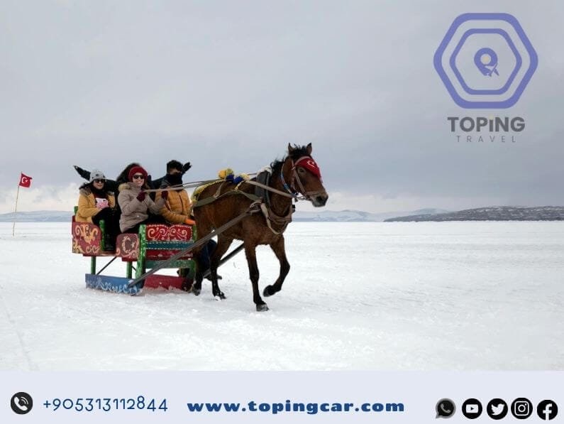 عربات الخيول