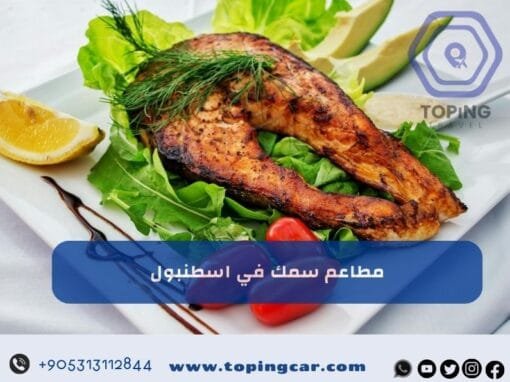 مطاعم سمك في اسطنبول | افضل مطعم سمك في اسطنبول على البحر 2026