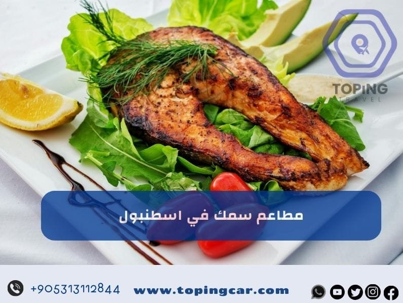مطاعم سمك في اسطنبول | افضل مطعم سمك في اسطنبول على البحر 2025
