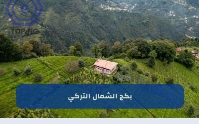 بكج الشمال التركي | مع أفضل عروض البرامج في شمال تركيا 2025